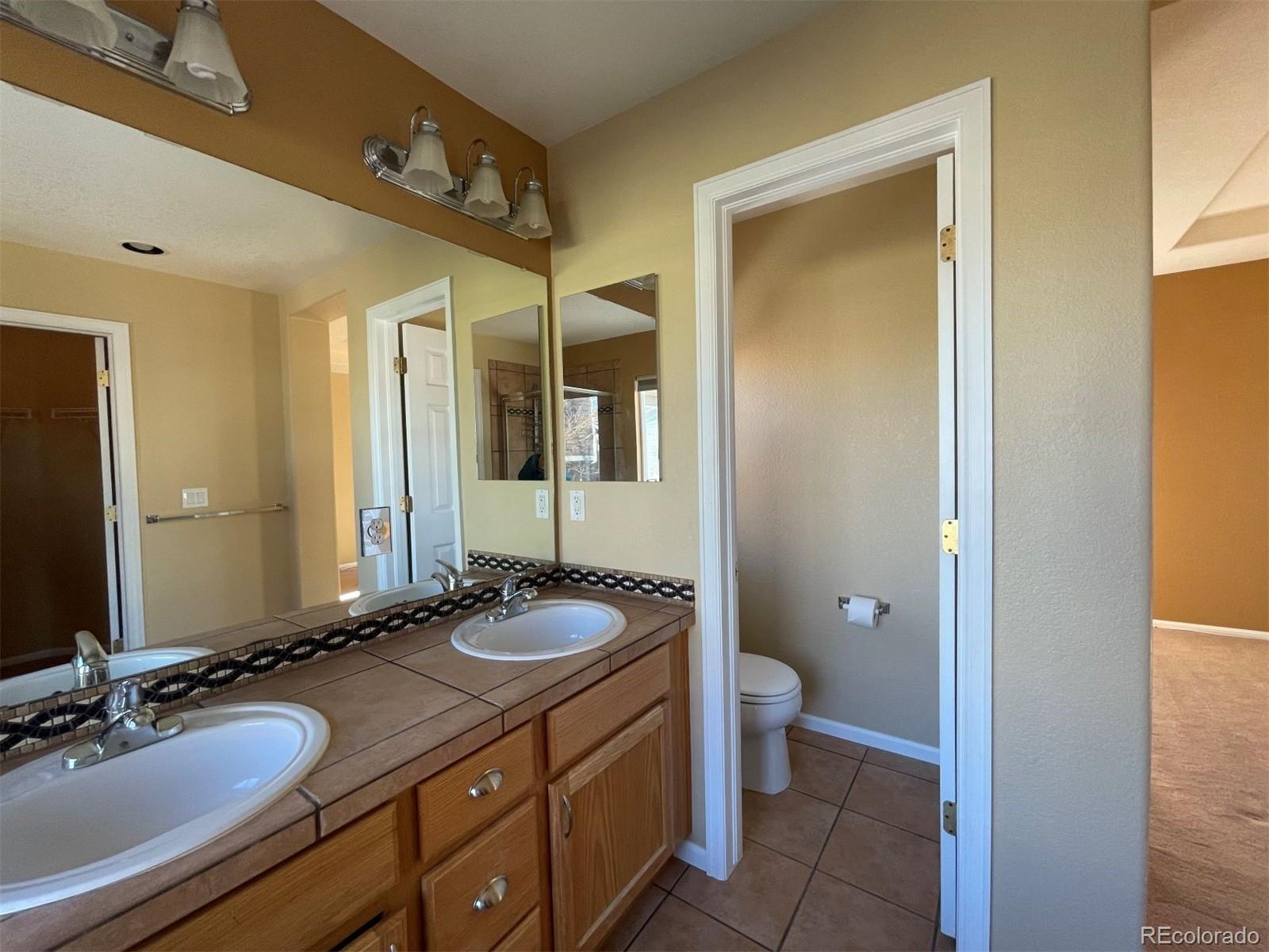 10838 Towerbridge Road Highlands Ranch, CO 80130 - Photo 18 of 26 a bathroom with a granite countertop sink and a mirror