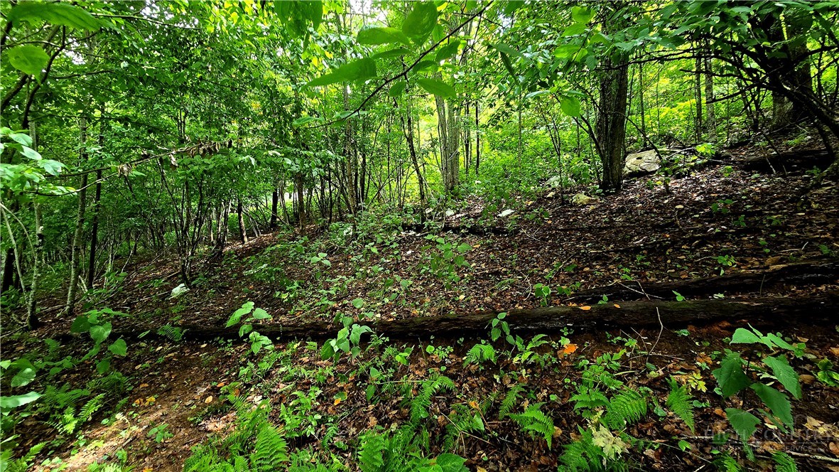 Lot 6 Boone Ridge Lane Boone, NC 28607 - Photo 10 of 15