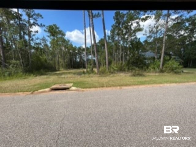 9030 Bay Point Drive Elberta, AL 36530 - Photo 7 of 16 View of asphalt road with view of scattered trees