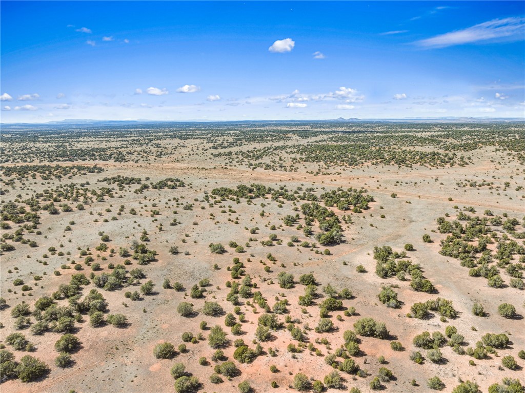 301-31-046 Wooden Ear Ranch Road Seligman, AZ 86337 - Photo 3 of 3