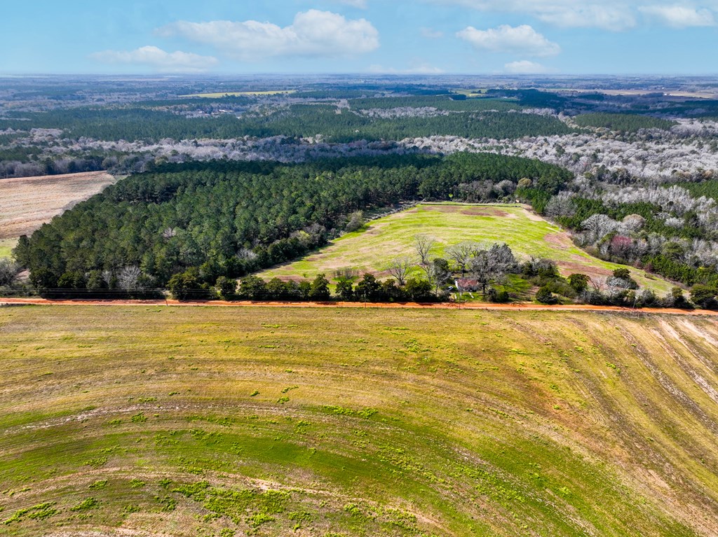 0 Double Creek Road Coffee Springs, AL 36318 - Photo 2 of 24