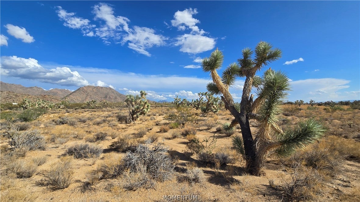 208-27-196d South Kinard Road Yucca, AZ 86438 - Photo 27 of 29 Gallery Image 27