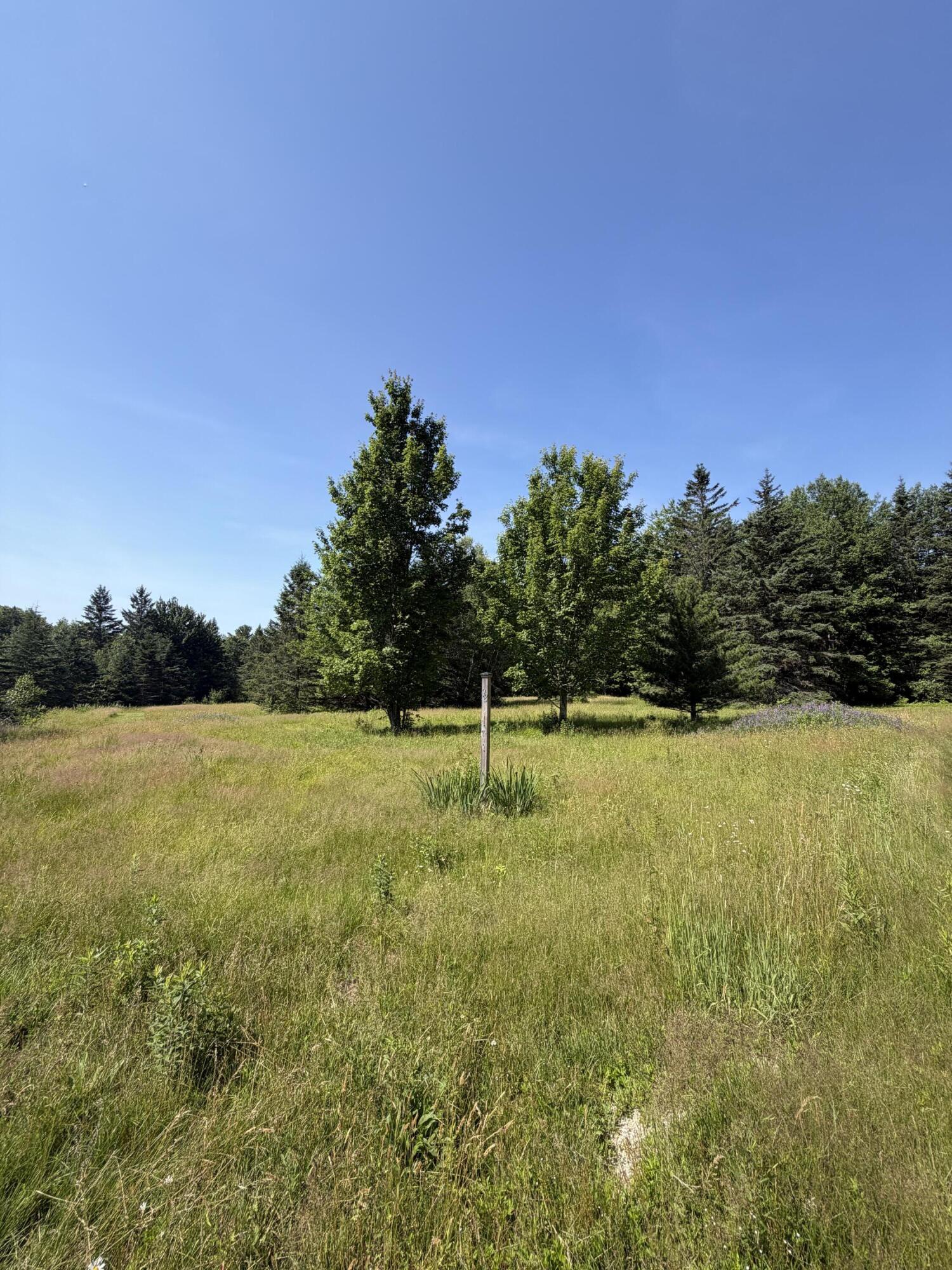 98 Bagaduce Road Sedgwick, ME 04676 - Photo 58 of 61 IMG_2293