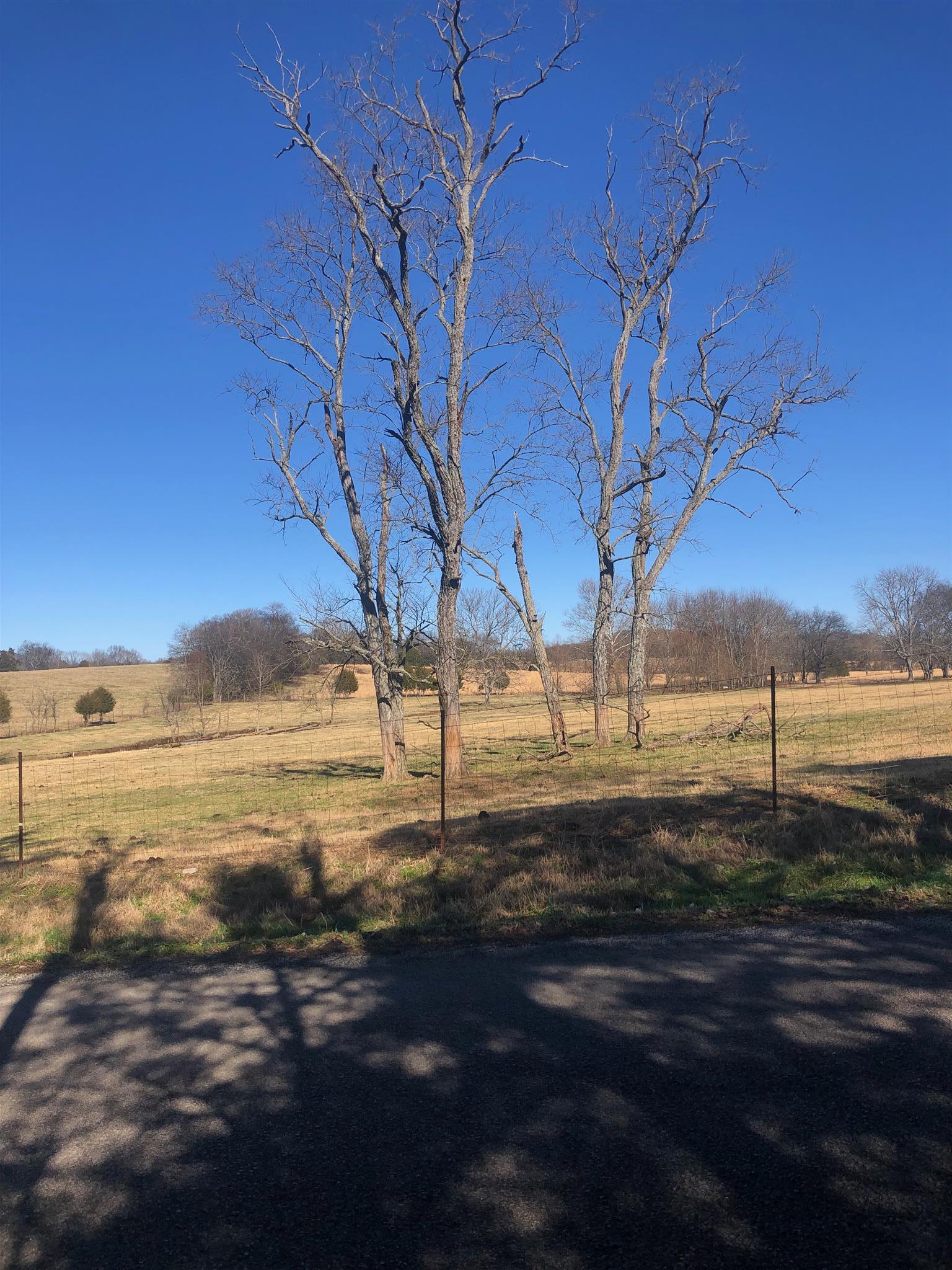0 Pickle Road Culleoka, TN 38451 - Photo 3 of 4