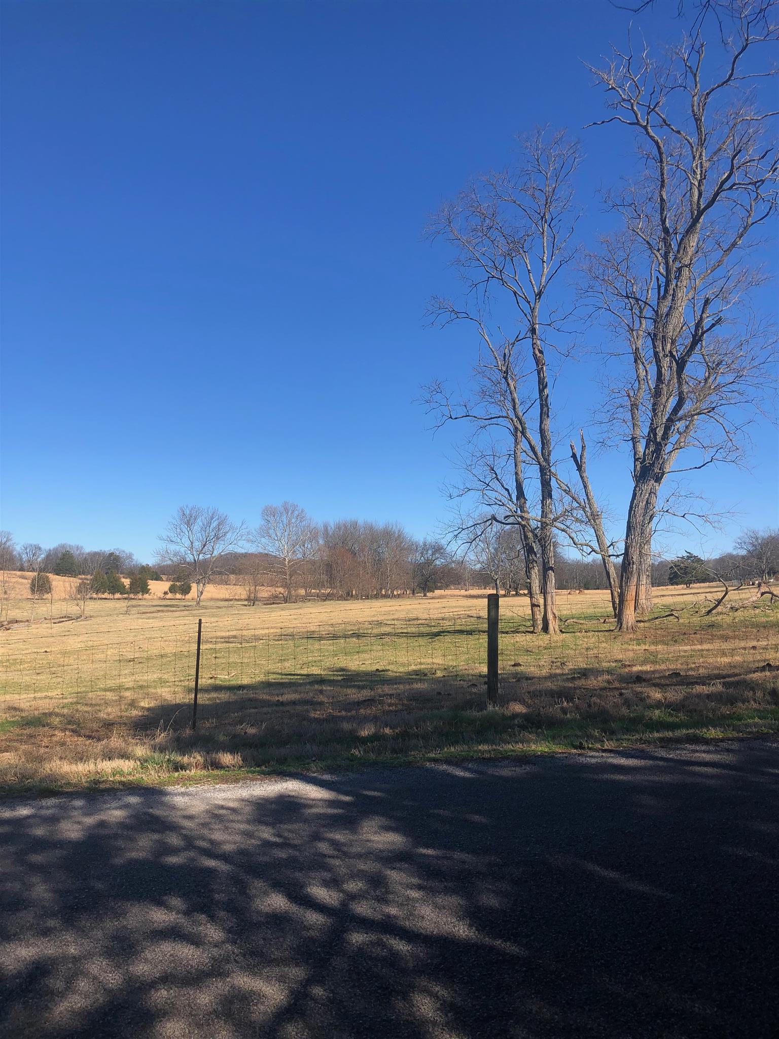 0 Pickle Road Culleoka, TN 38451 - Photo 4 of 4