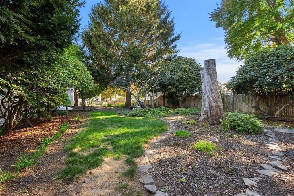 9 Pearson Street Beverly, MA 01915 - Photo 34 of 41 a view of a yard with plants and a large tree
