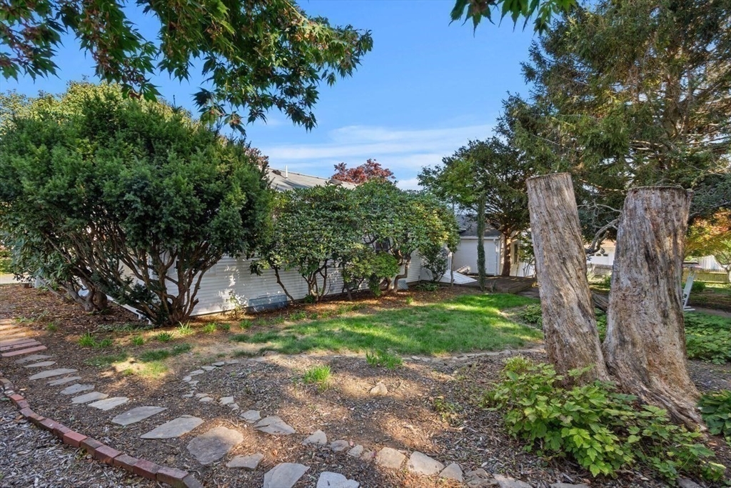 9 Pearson Street Beverly, MA 01915 - Photo 36 of 41 a view of backyard with green space