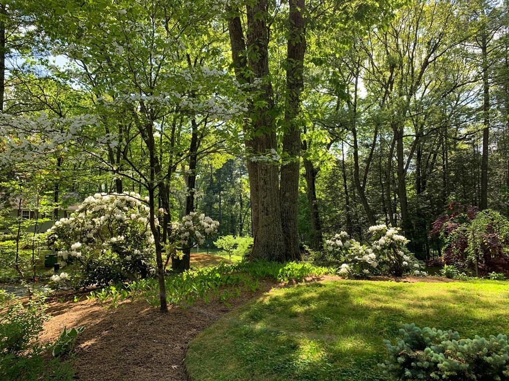 54 Cider Mill Road Sudbury, MA 01776 - Photo 33 of 36