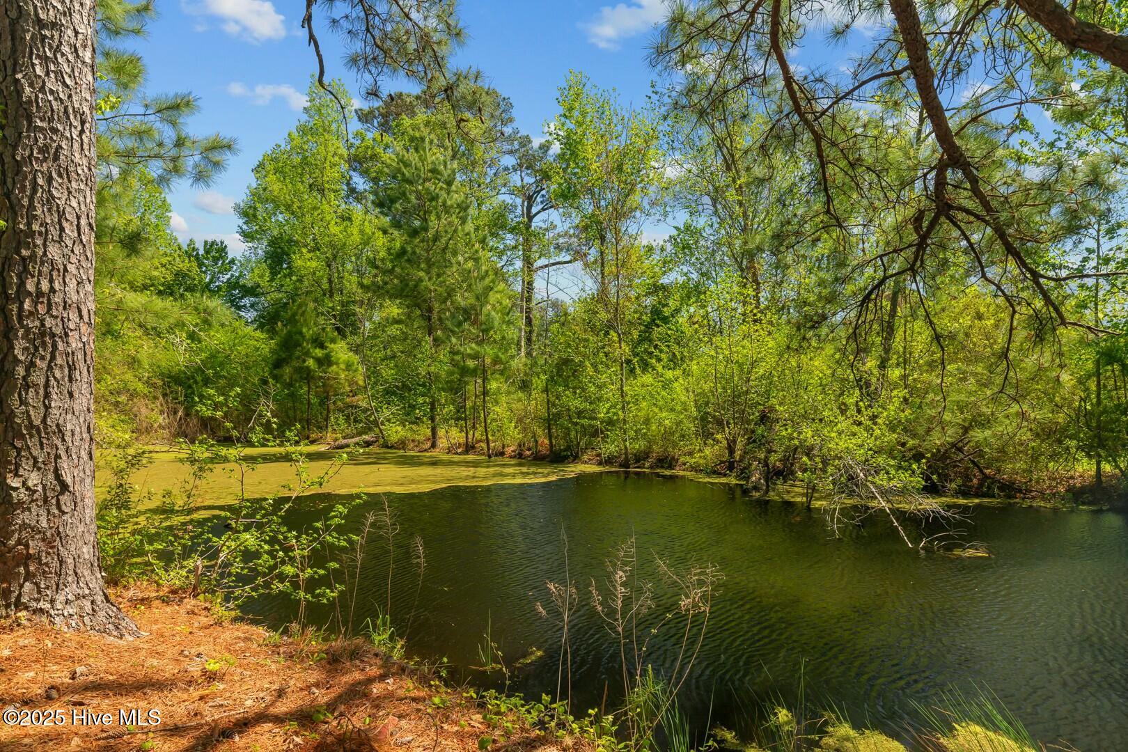 185 Justice Road Jacksonville, NC 28540 - Photo 109 of 110 tempImageN8gbLg