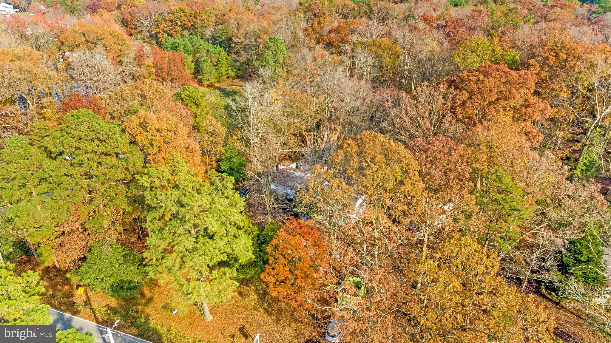 24510 Pin Cushion Road Leonardtown, MD 20650 - Photo 20 of 25 Gallery Image 20