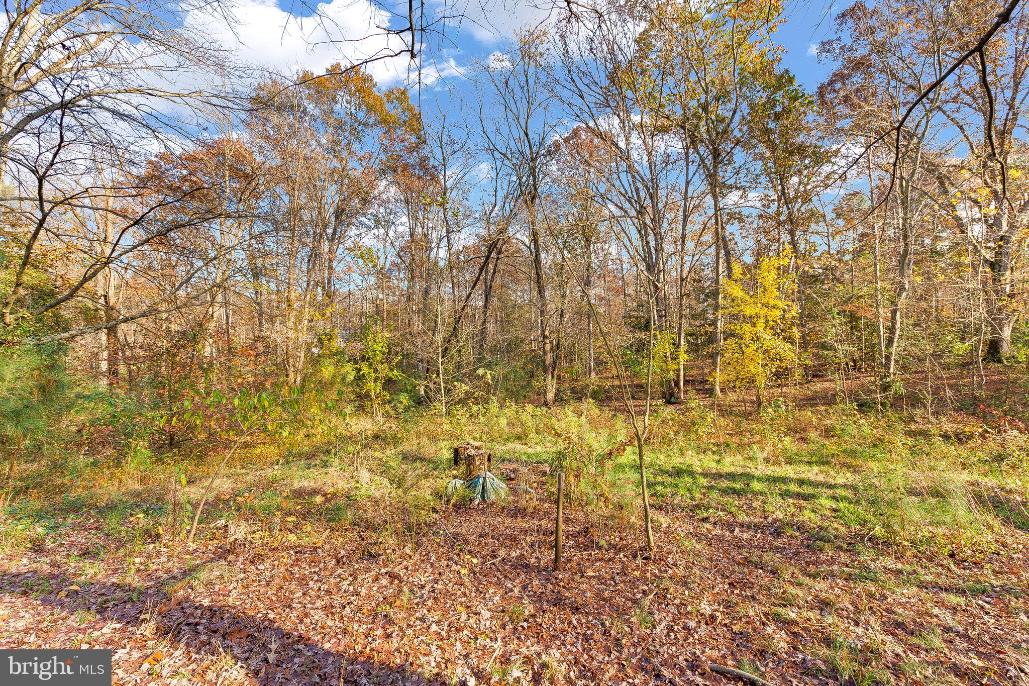 24510 Pin Cushion Road Leonardtown, MD 20650 - Photo 21 of 25 Gallery Image 21