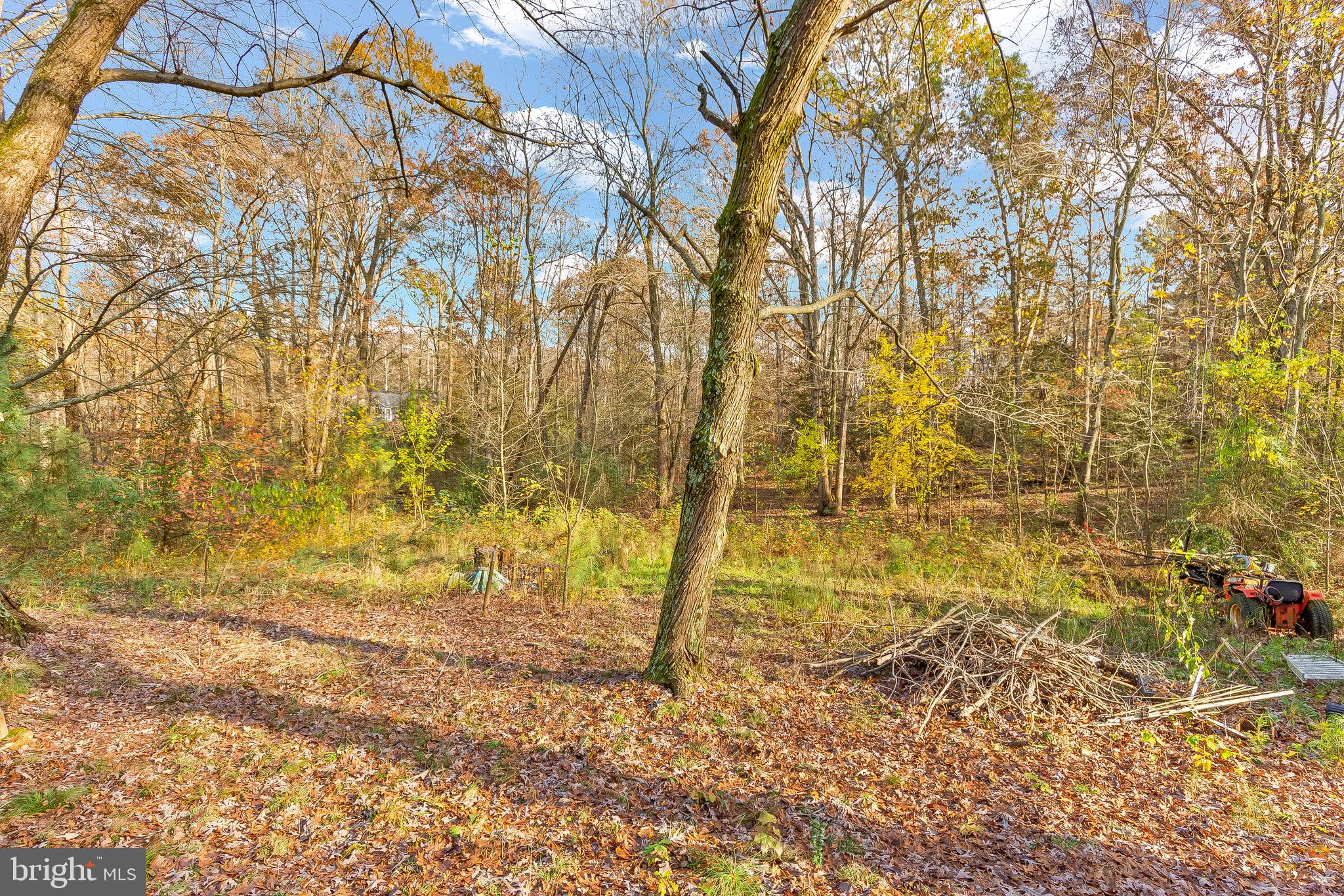 24510 Pin Cushion Road Leonardtown, MD 20650 - Photo 23 of 25 Gallery Image 23