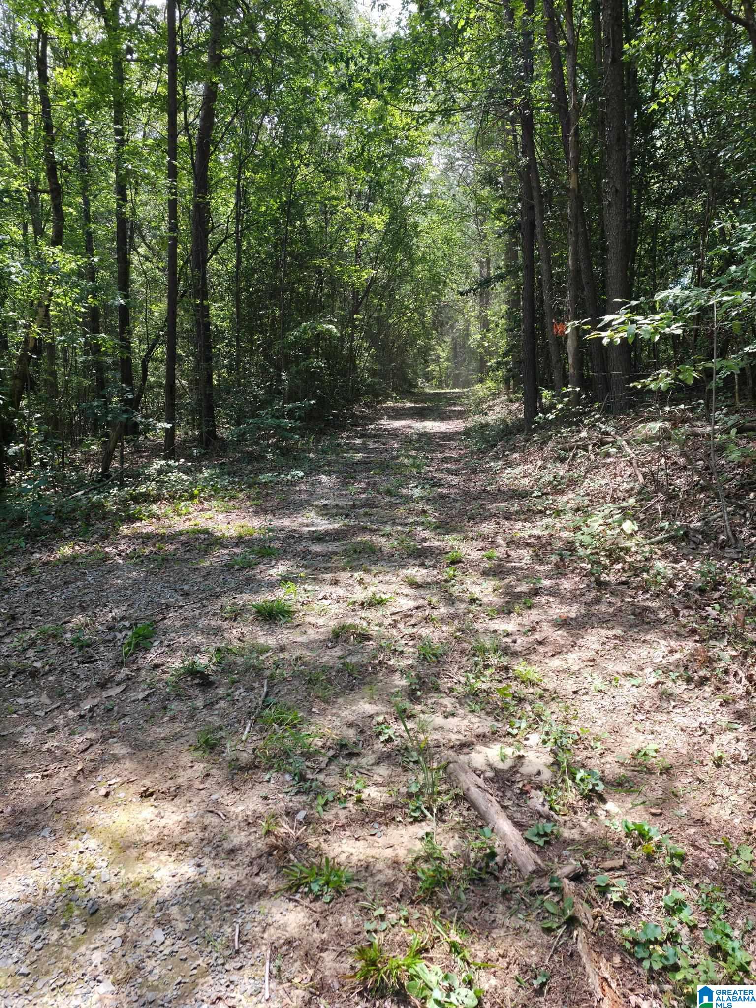 2 County Road 2, Unit 50 / ACRES Double Springs, AL 35553 - Photo 27 of 79
