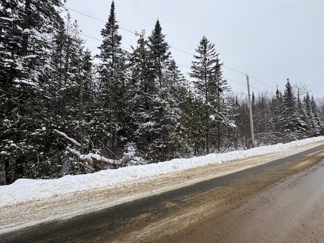 Lot 15-15 Stetson Road Levant, ME 04456 - Photo 3 of 4