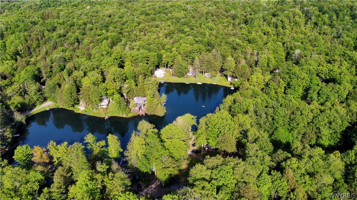 5419 Narrows Rod & Gun Club Road, Unit 36 Little Valley, NY 14755 - Photo 47 of 47