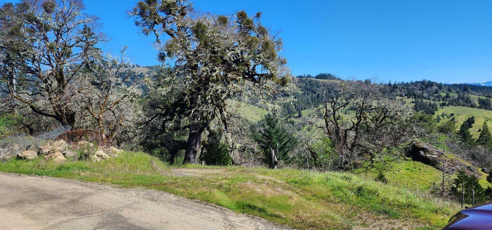 0 Salmon Creek Road Miranda, CA 95553 - Photo 2 of 19