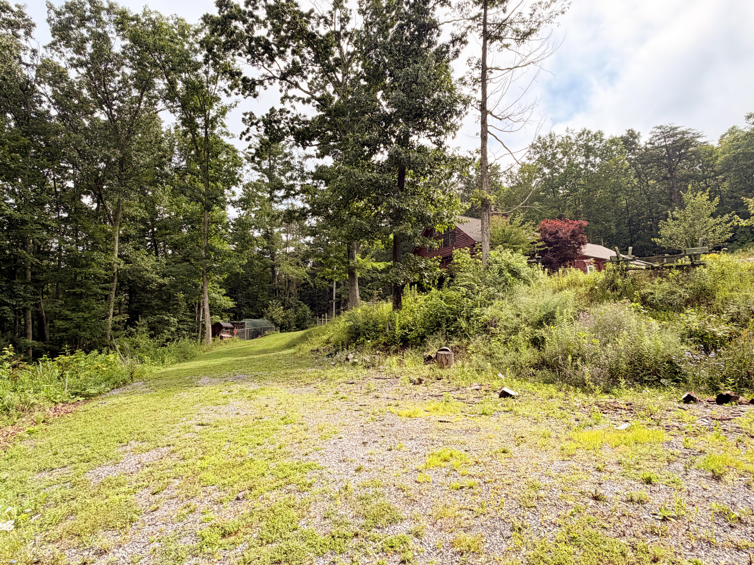 65 Cubbley Road Hot Springs, VA 24445 - Photo 67 of 73 IMG_3010