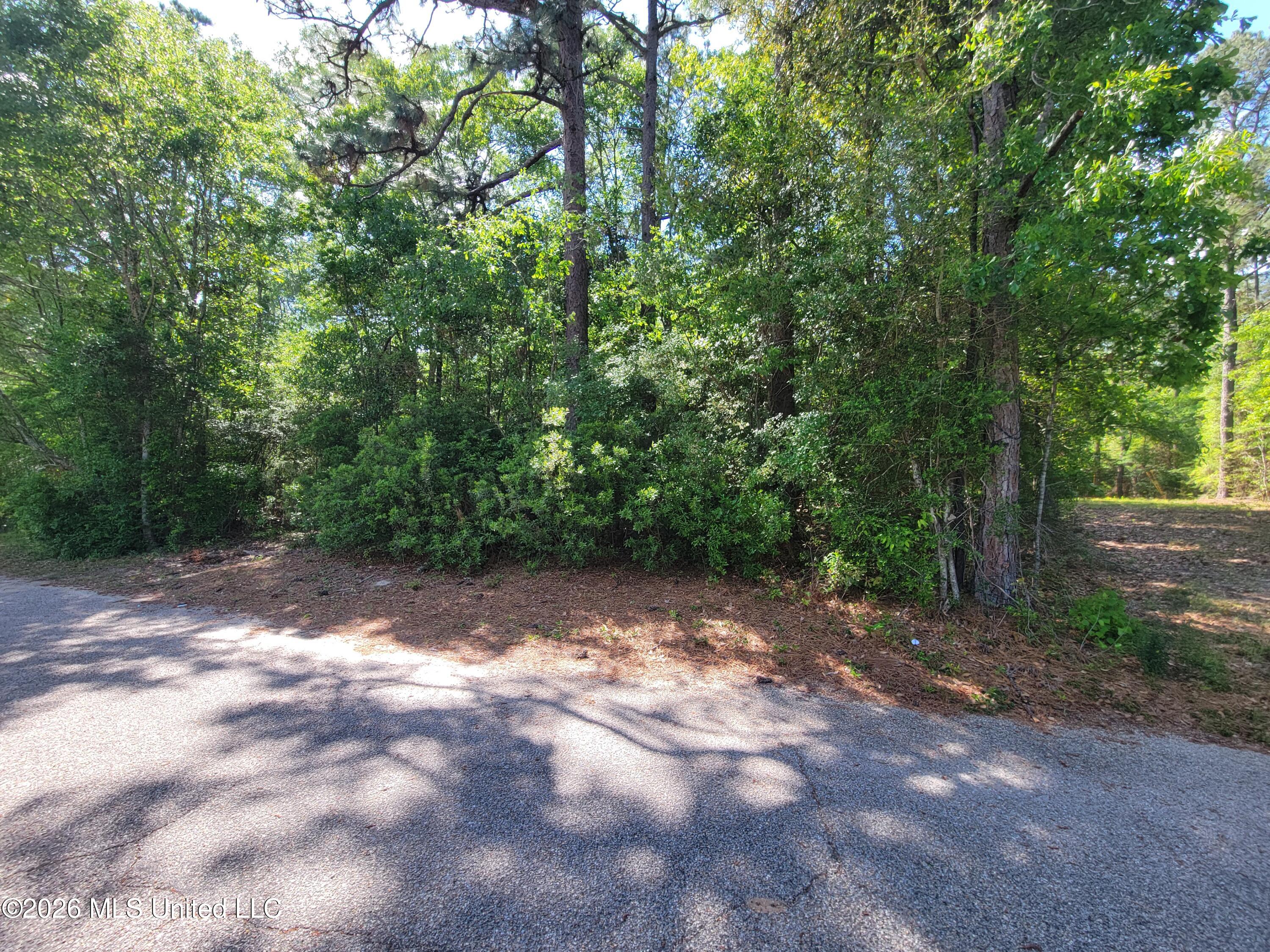 0 Cunningham Road Saucier, MS 39574 - Photo 2 of 3 20260412_150825