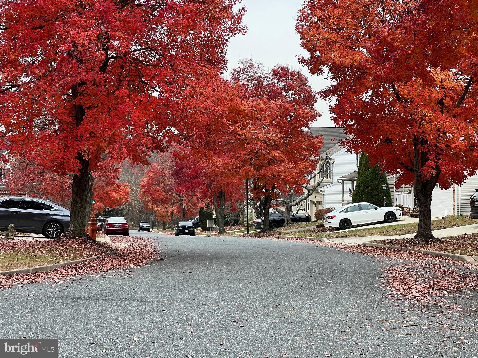 5032 Springhouse Circle Baltimore, MD 21237 - Photo 2 of 93