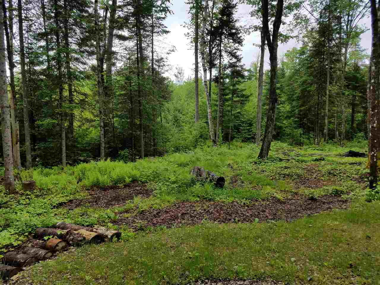 264 Wilderness Road Bethlehem, NH 03574 - Photo 20 of 30 Gallery Image 20