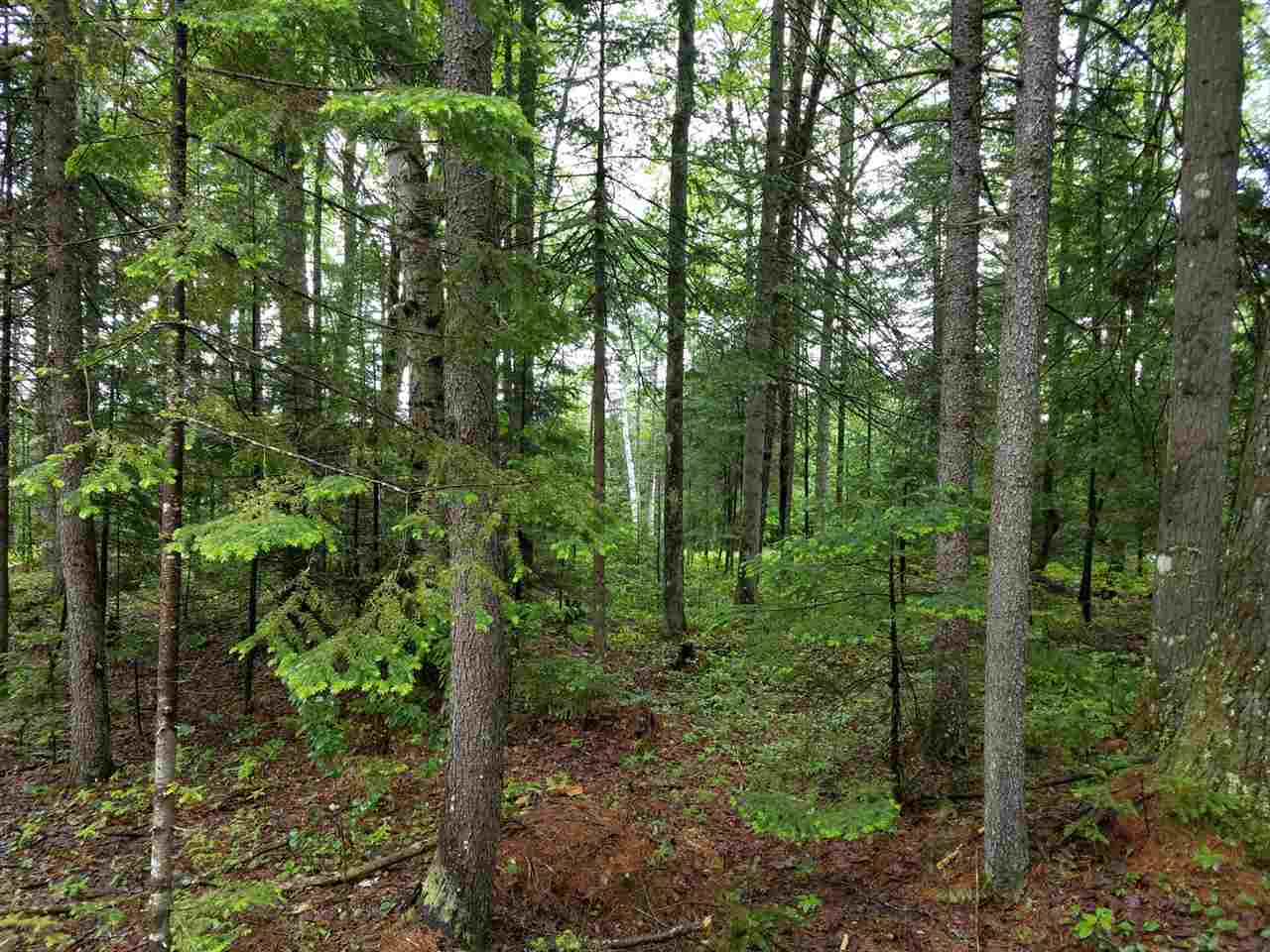 264 Wilderness Road Bethlehem, NH 03574 - Photo 24 of 30 Gallery Image 24