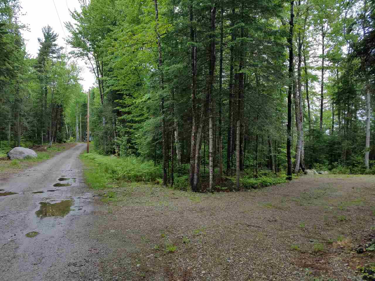 264 Wilderness Road Bethlehem, NH 03574 - Photo 25 of 30 Gallery Image 25