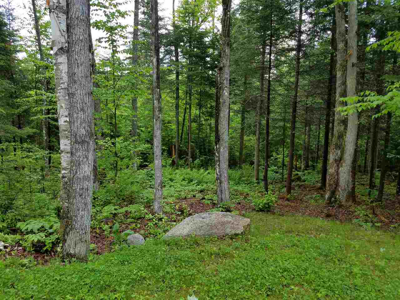 264 Wilderness Road Bethlehem, NH 03574 - Photo 9 of 30 Gallery Image 9