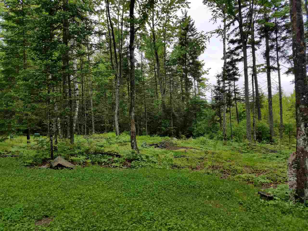 264 Wilderness Road Bethlehem, NH 03574 - Photo 10 of 30 Gallery Image 10