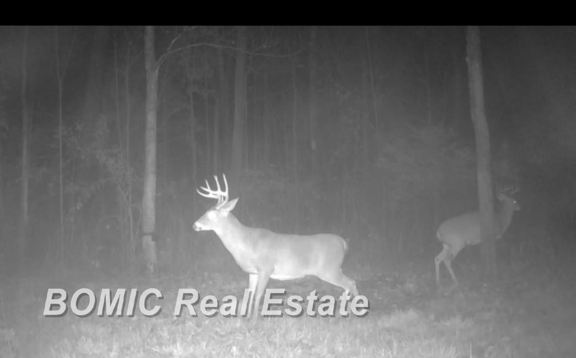 3865 Mushroom Road Caro, MI 48723 - Photo 41 of 44