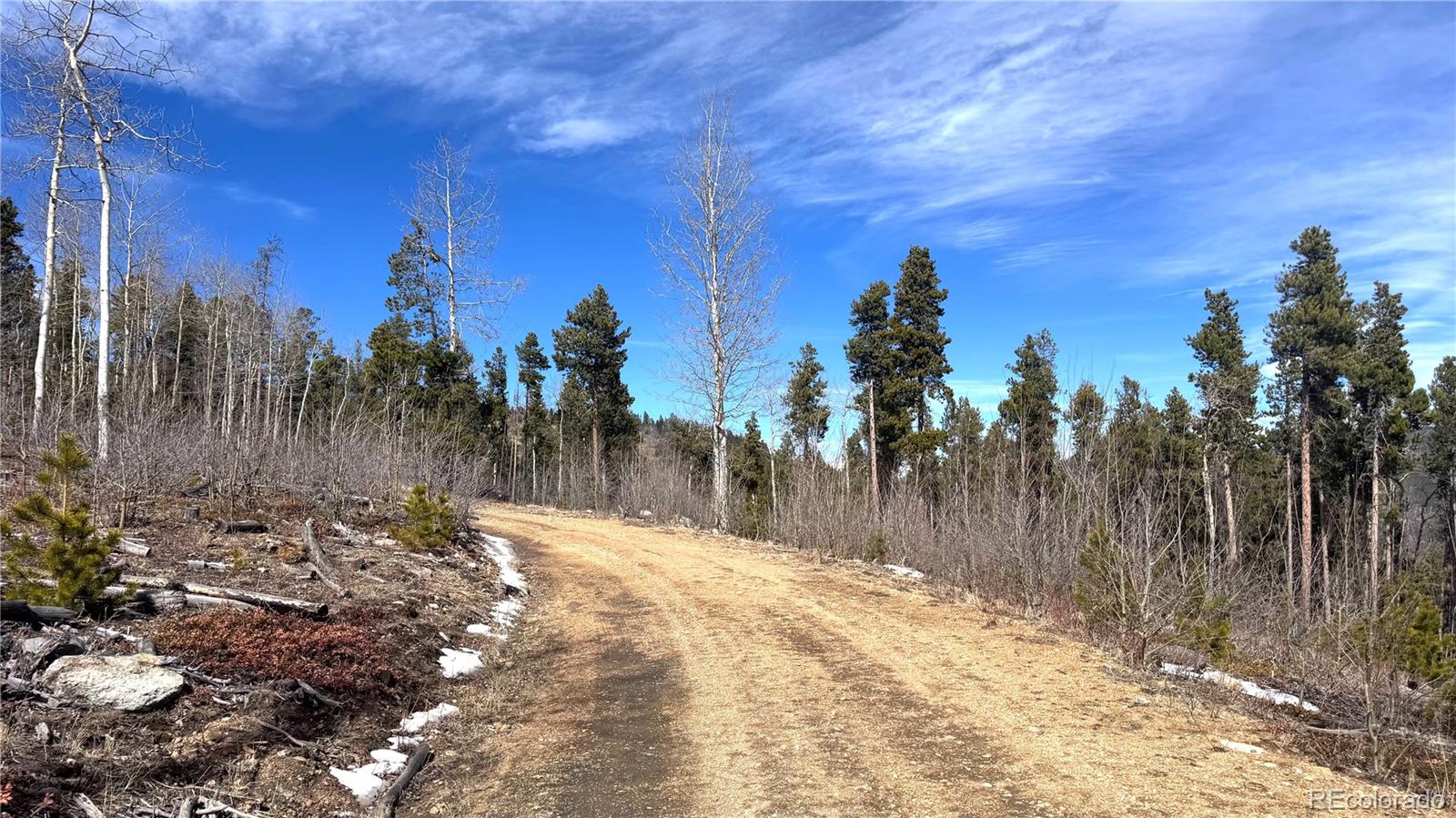 3 Seldom Seen Road Golden, CO 80403 - Photo 11 of 39