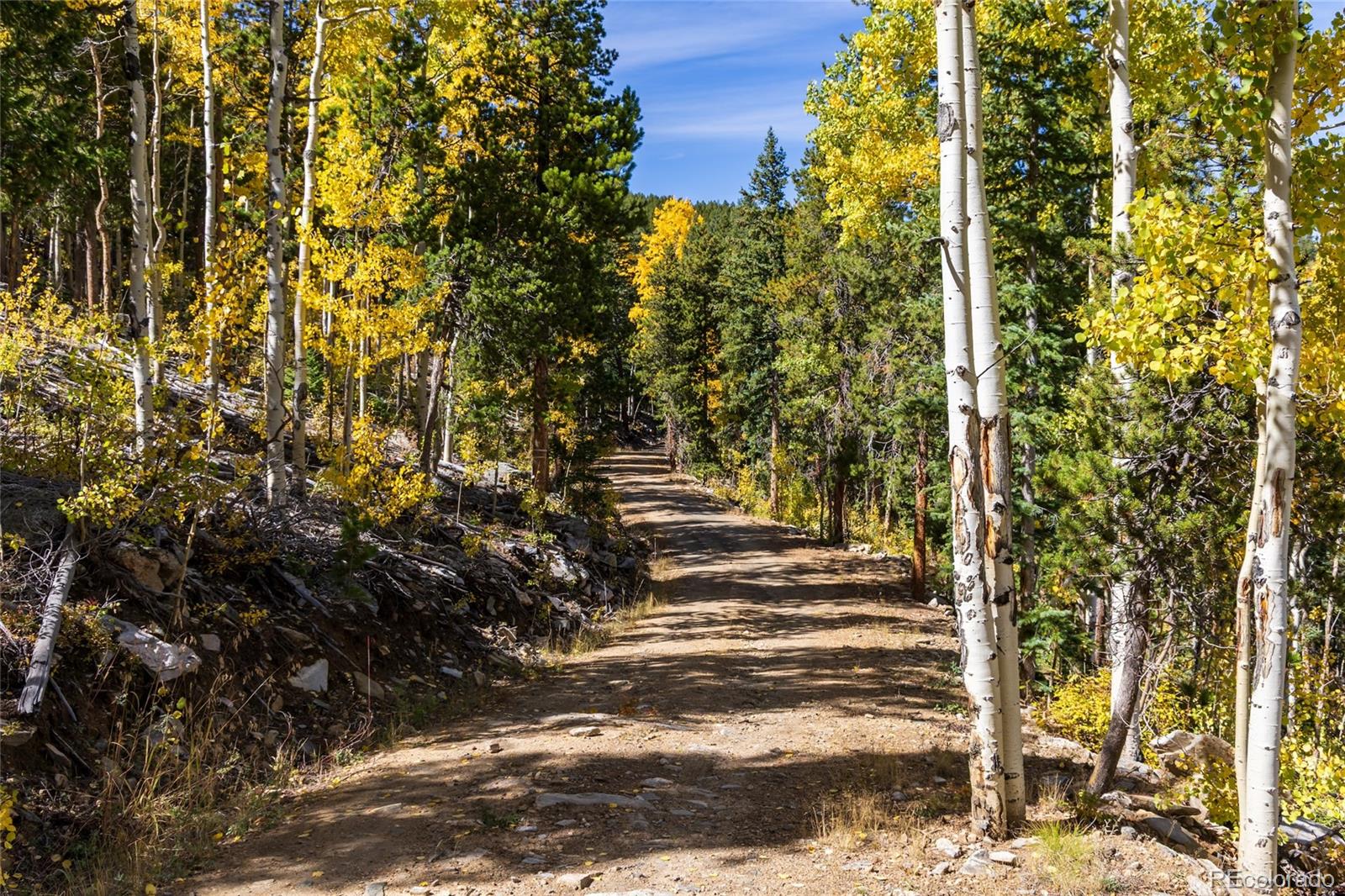 3 Seldom Seen Road Golden, CO 80403 - Photo 17 of 39 a view of outdoor space and yard