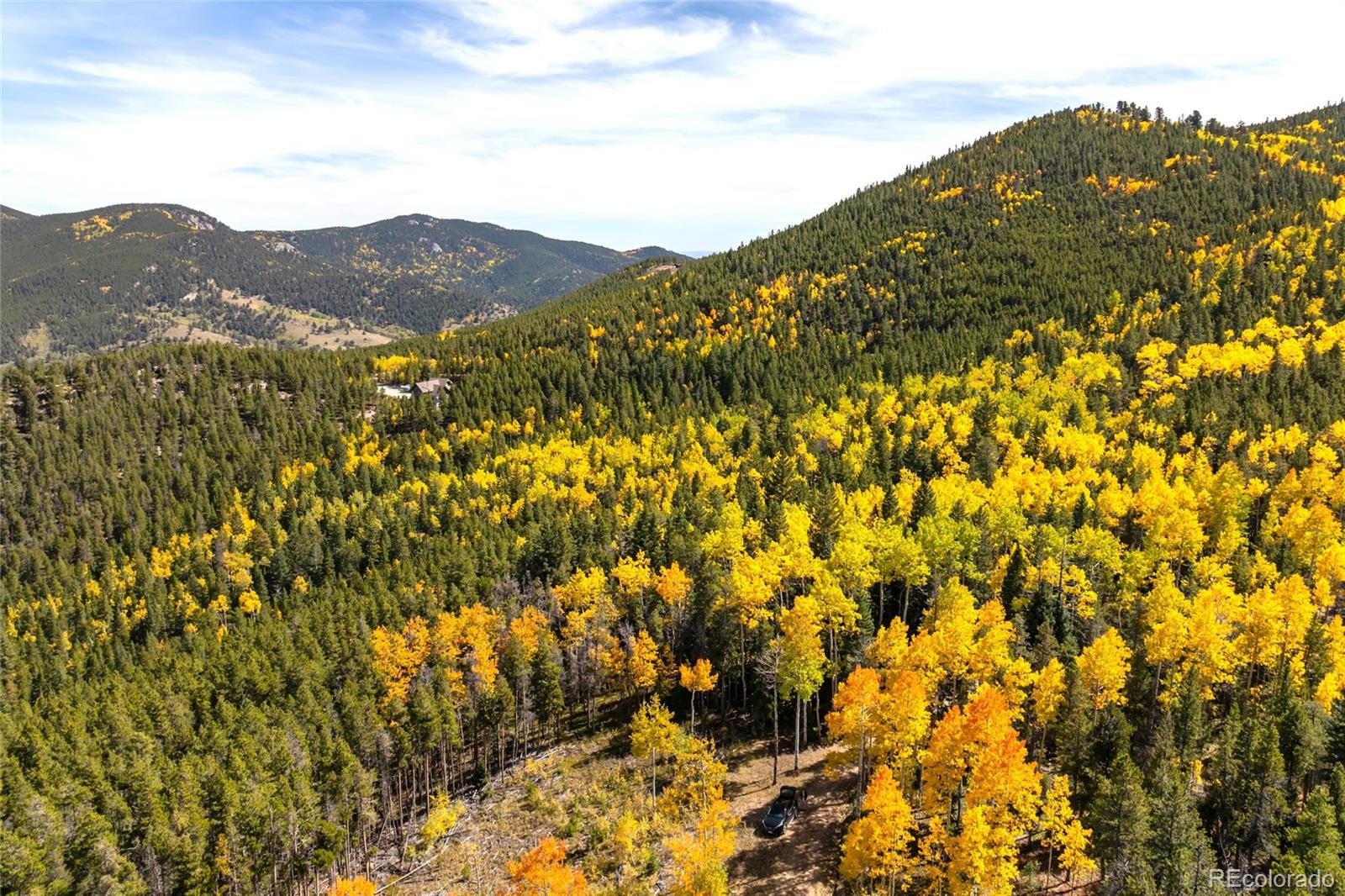 3 Seldom Seen Road Golden, CO 80403 - Photo 18 of 39 a view of a large tree with mountains in the background