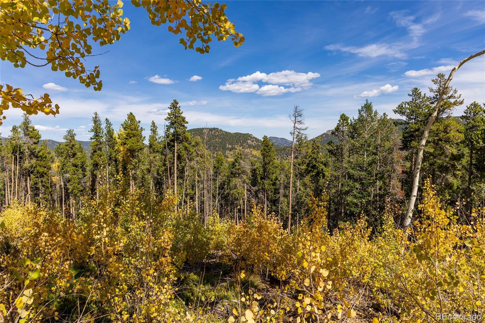 3 Seldom Seen Road Golden, CO 80403 - Photo 22 of 39 a view of a bunch of trees