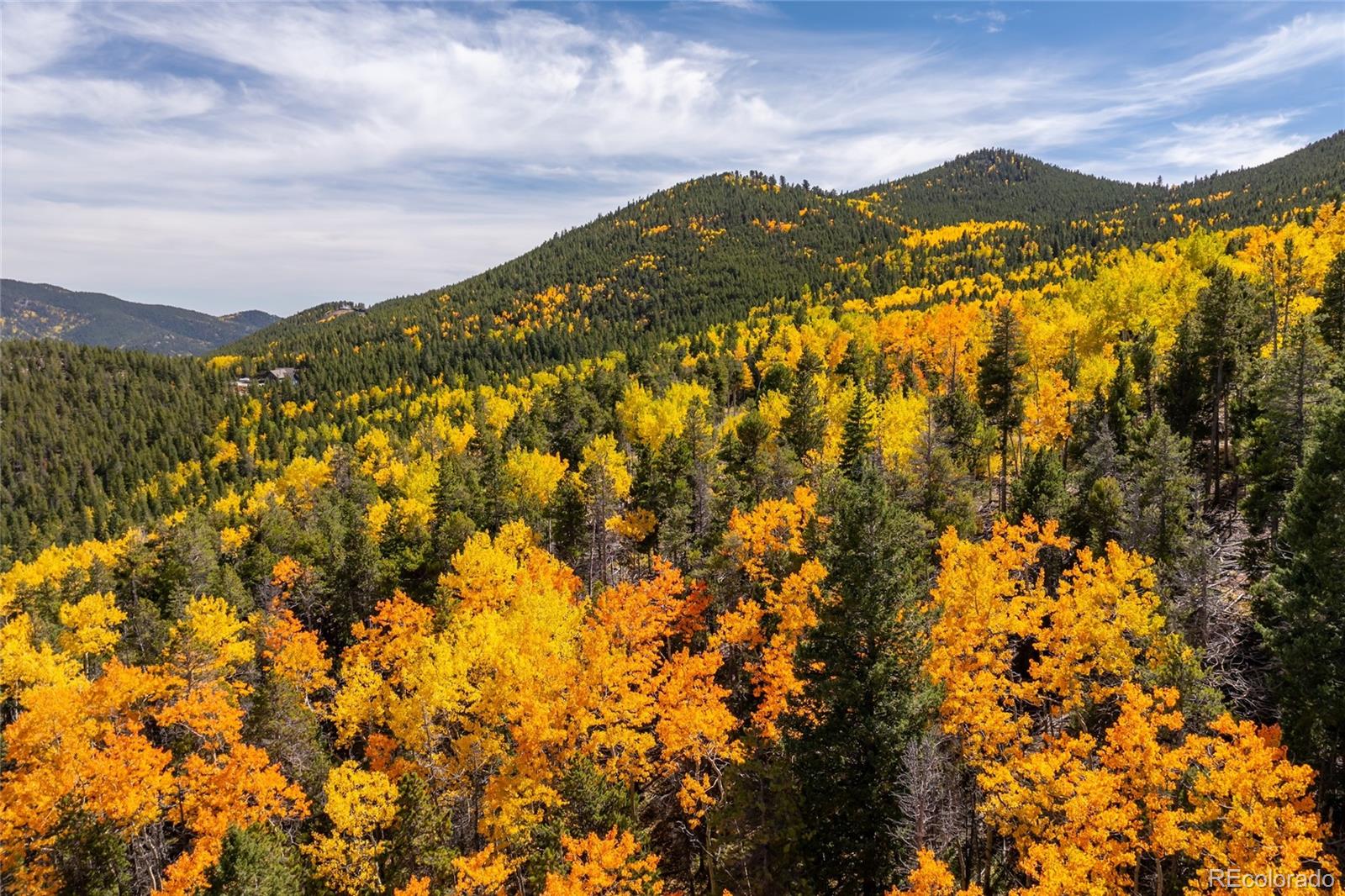 3 Seldom Seen Road Golden, CO 80403 - Photo 5 of 39