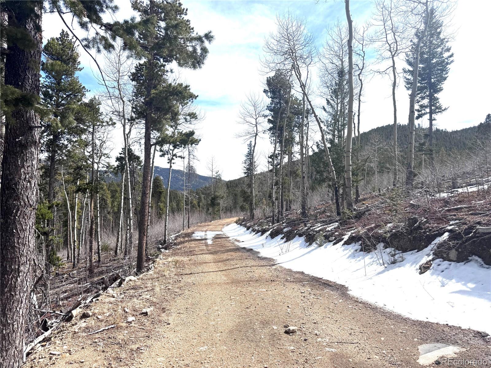 3 Seldom Seen Road Golden, CO 80403 - Photo 9 of 39 a view of a yard covered with snow in the background