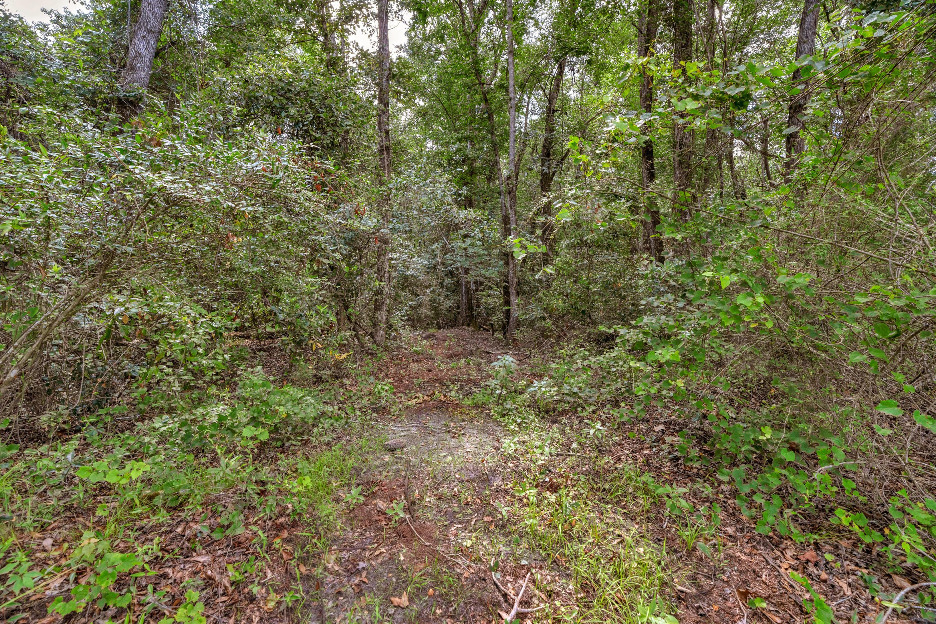 5120 North Brewington Road, Unit 2 Alcolu, SC 29001 - Photo 37 of 46 DSC05401