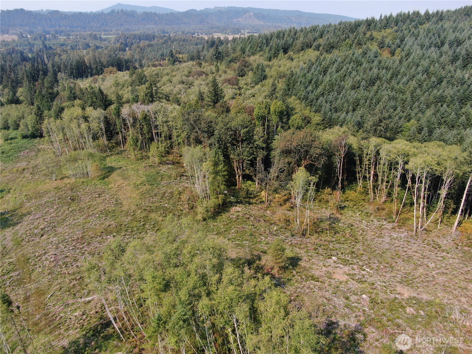 0 Cedar Creek Road Oakville, WA 98568 - Photo 12 of 33 Gallery Image 12