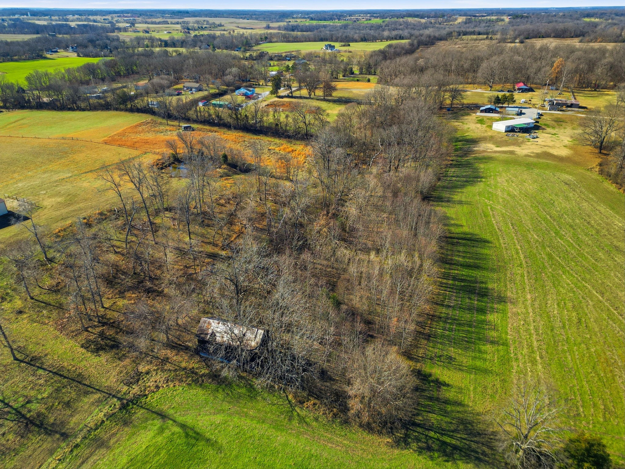 5220 Jones Chapel Road Cedar Hill, TN 37032 - Photo 11 of 14