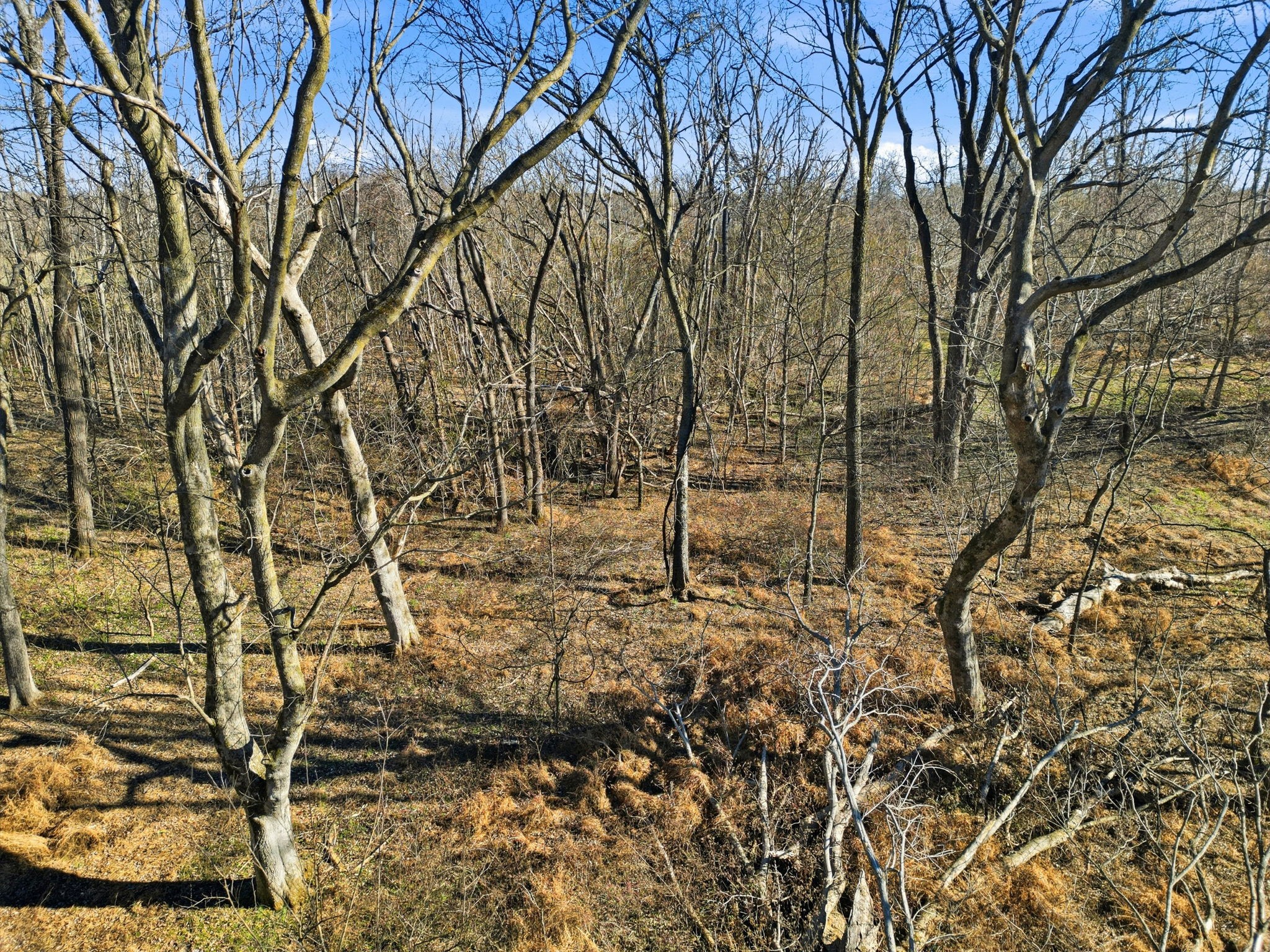 5220 Jones Chapel Road Cedar Hill, TN 37032 - Photo 12 of 14