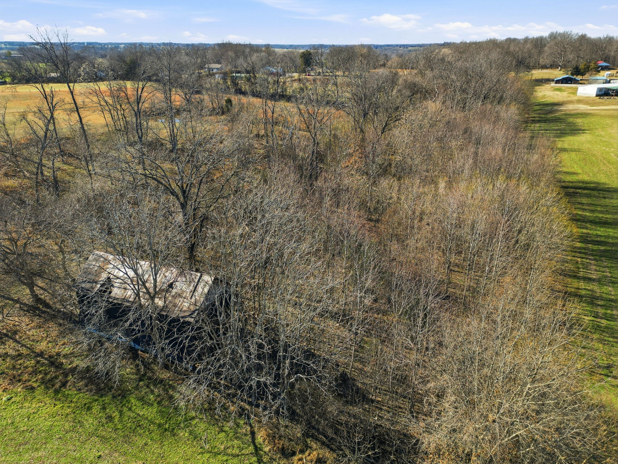 5220 Jones Chapel Road Cedar Hill, TN 37032 - Photo 13 of 14