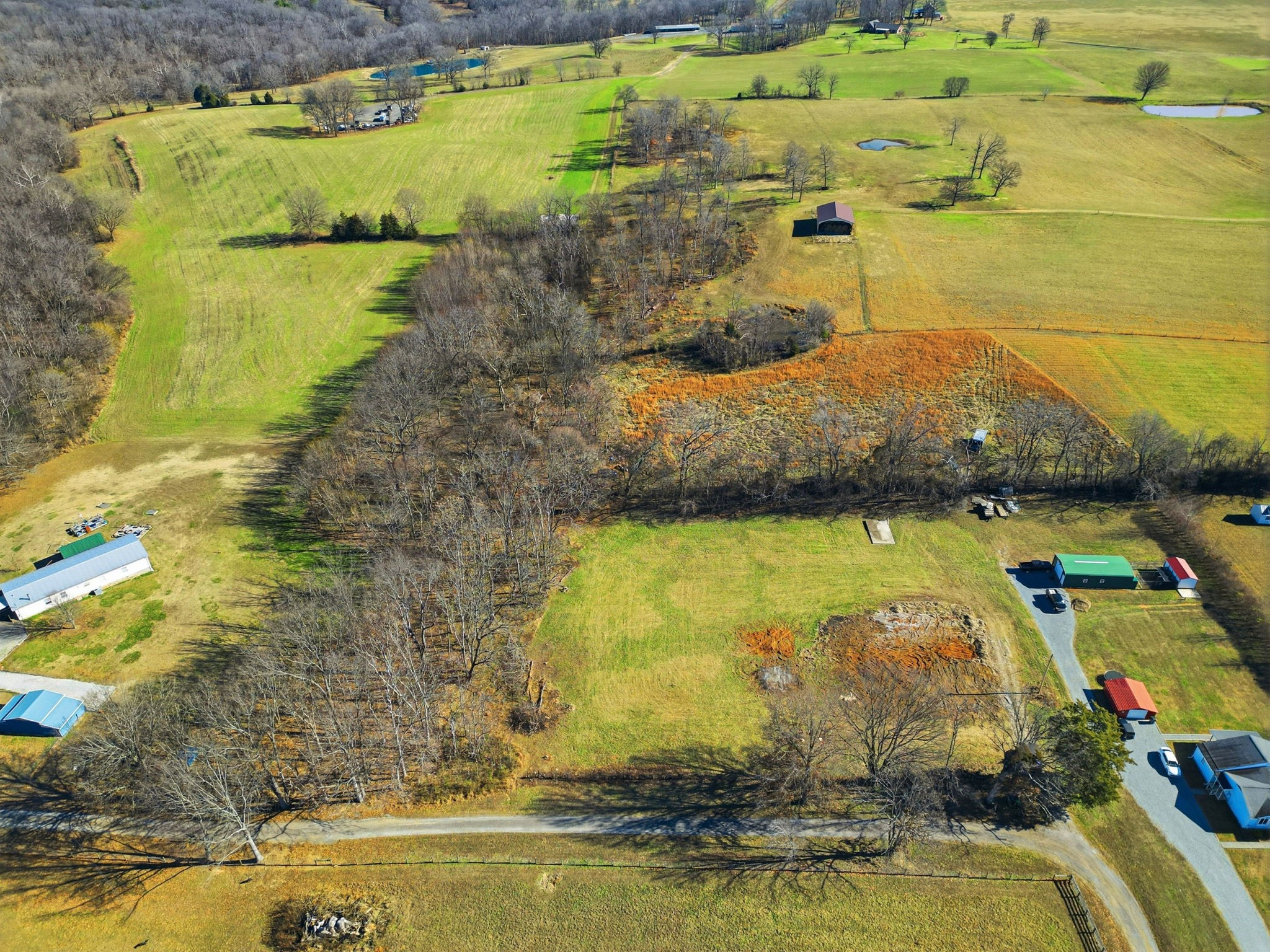 5220 Jones Chapel Road Cedar Hill, TN 37032 - Photo 5 of 14