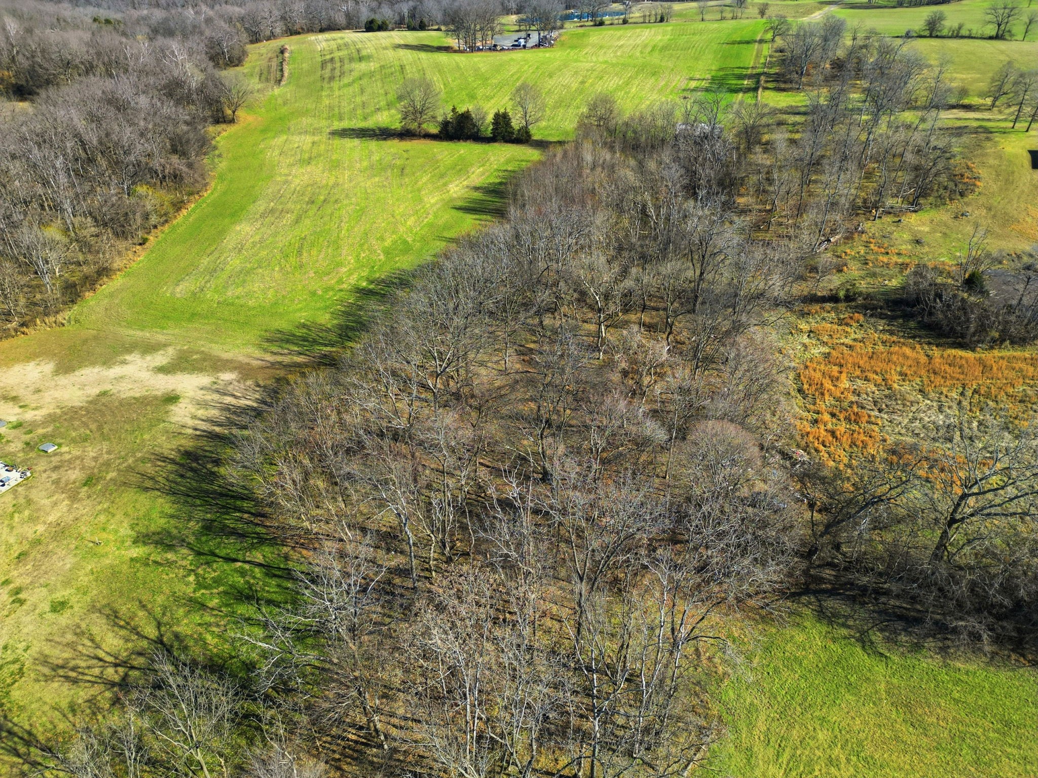 5220 Jones Chapel Road Cedar Hill, TN 37032 - Photo 9 of 14