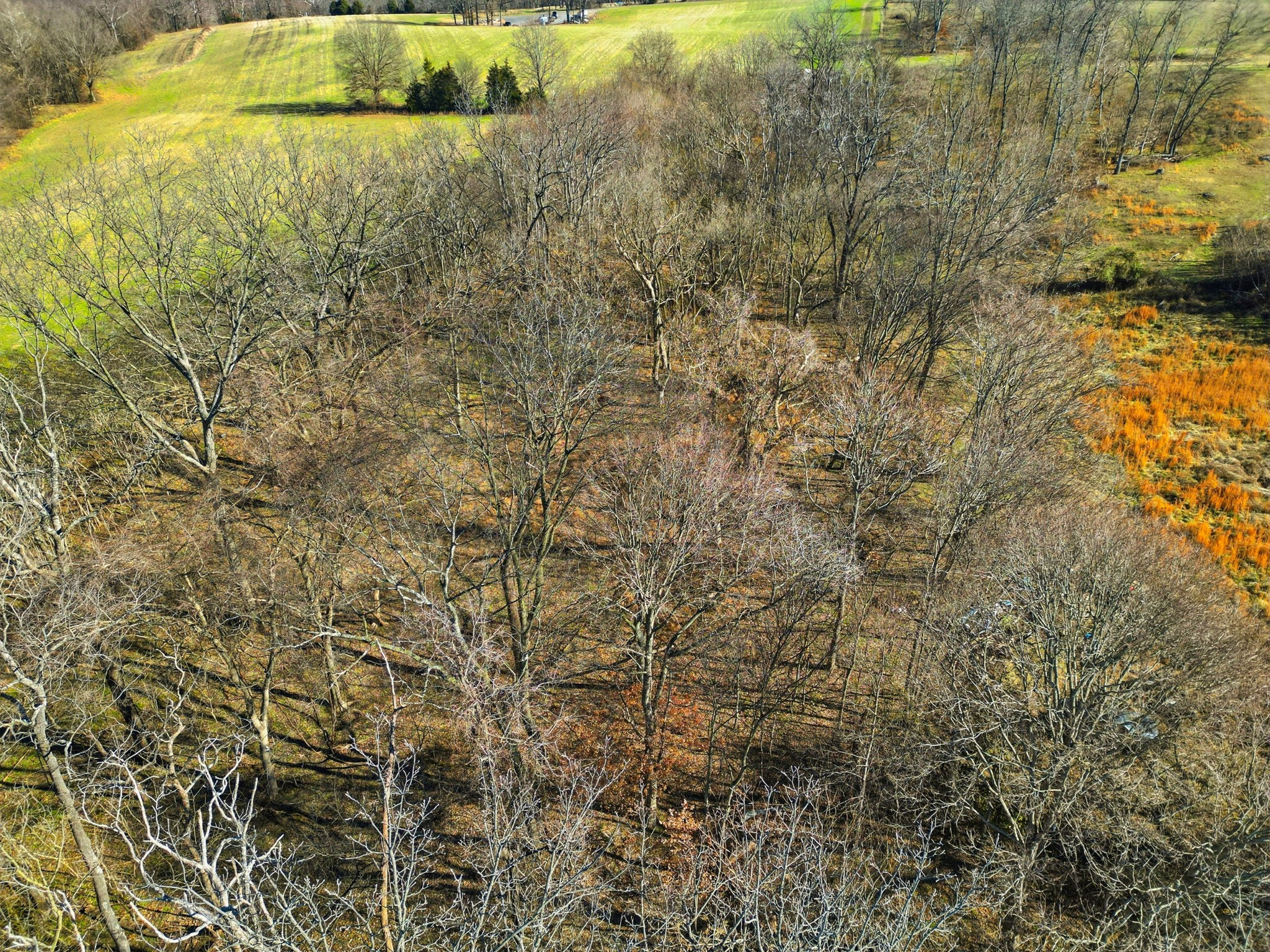 5220 Jones Chapel Road Cedar Hill, TN 37032 - Photo 10 of 14