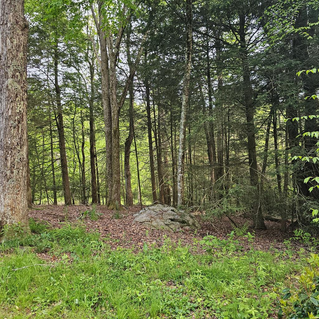 11175 Flat Ridge Road Troutdale, VA 24378 - Photo 38 of 48 Gallery Image 38