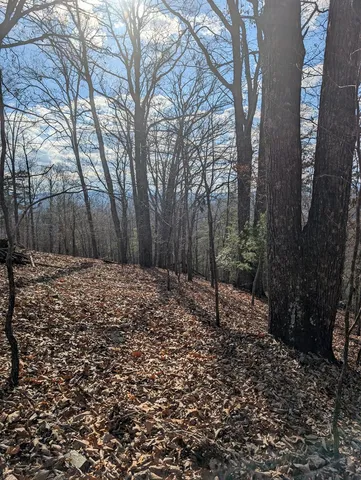 a view of a backyard of the house