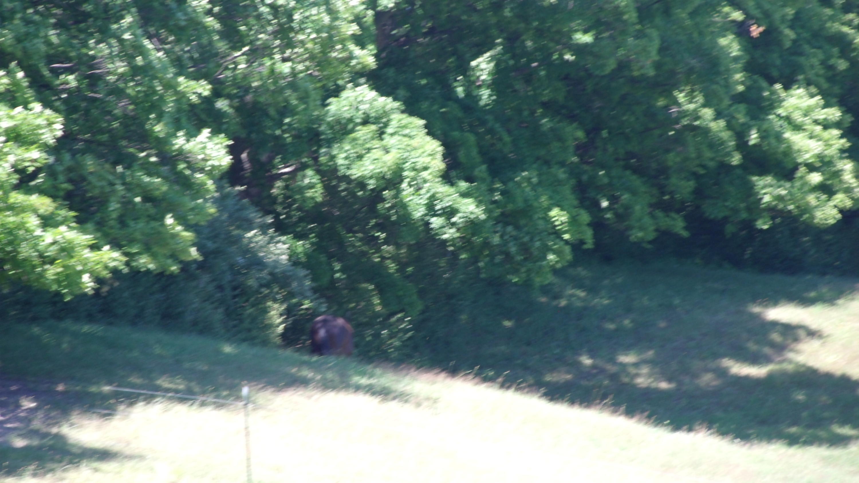 7075 White Road Indian River, MI 49749 - Photo 51 of 71 Gallery Image 51