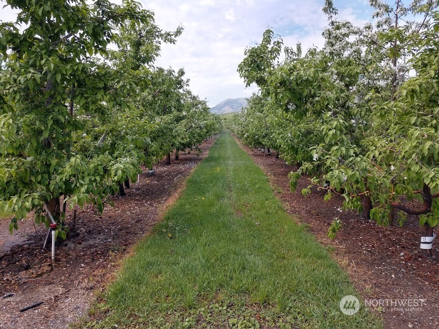 0 Makai Road Manson, WA 98831 - Photo 1 of 1 Gallery Image 1