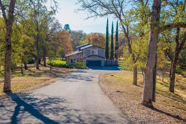 a front view of a house with a yard and large trees