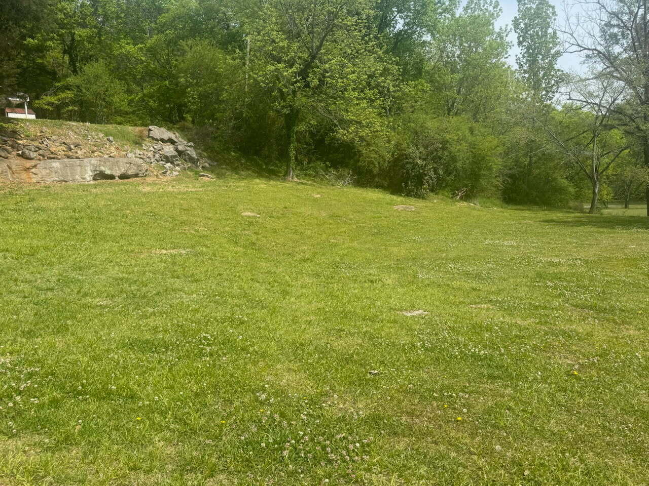 0 Cor Mountain Stevenson, AL 35772 - Photo 3 of 3 image000001