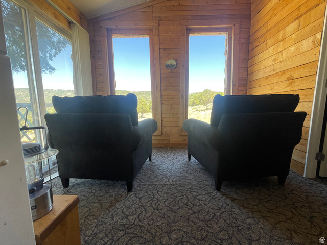 4648 West Taylor Flt Road Salina, UT 84654 - Photo 11 of 20 Room featuring wood-plank walls and a patterned carpet